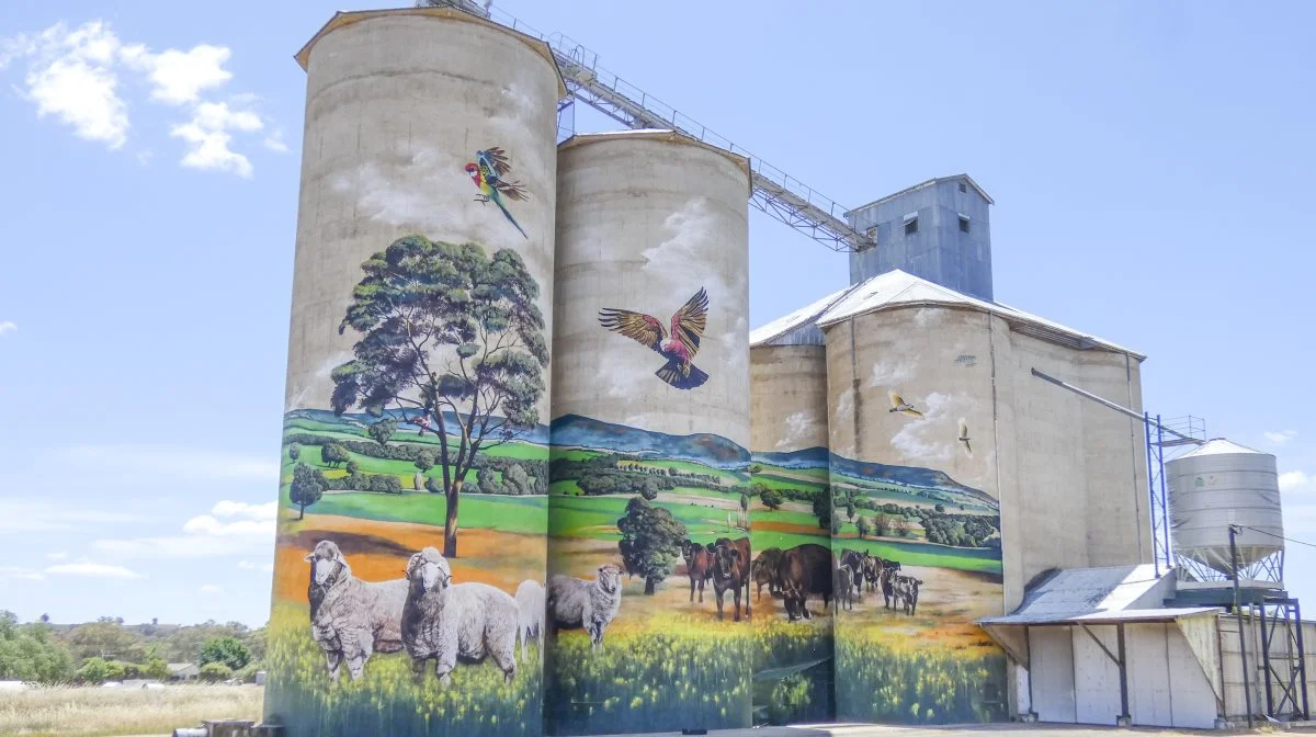 En kedelig, grå betonsilo på en australsk farm forvandlet til et idyllisk kunstværk set på studieturen i 2023. Fotos: rejsopoplev