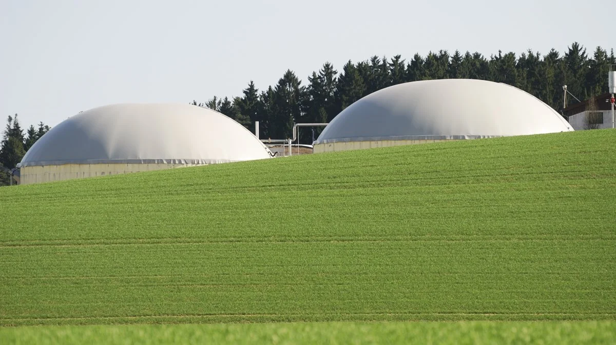 Arkivfoto. Det pågældende billede er ikke associeret med Limfjordens Bioenergi. Arkivfoto