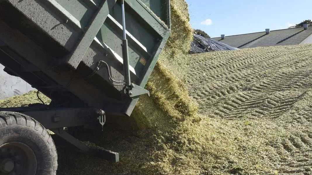 Sønderjylland får nyt andelsselskab, som forhandler biomasse til biogasanlæg. Arkivfoto