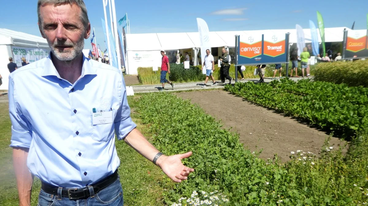 - Jeg er tilbageholdende med direkte at kalde det et glyphosat-alternativ, selv om det har været nævnt, siger Niels Bjerre, produktmanager ved Bayer, til Effektivt Landbrug om det nye ukrudtsmiddel. Arkivfoto: Jørgen P. Jensen