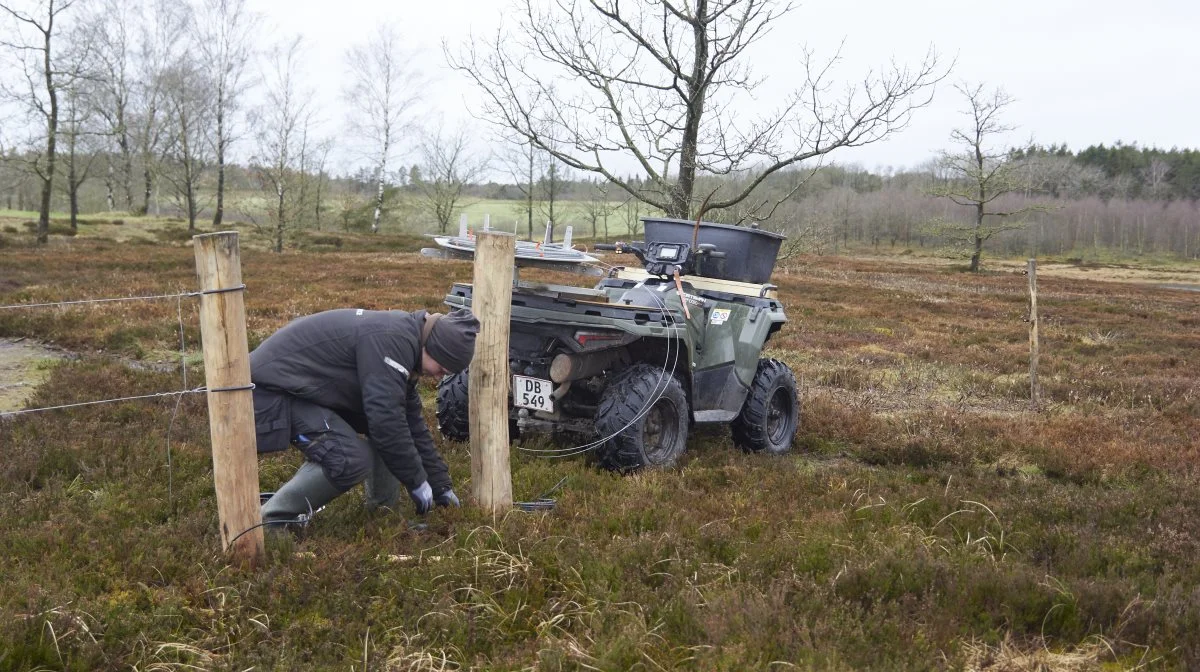 Det er naturprojekter for kommunen og krondyrhegn, som Agrofence bruger det meste af deres tid på. 