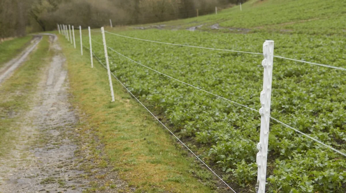 De mobile krondyrhegn kickstartede Agrofence. 