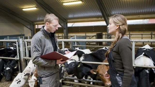 Ledelsen kan med fordel uddelegere ansvaret for opgaver eller afdelinger til medarbejderne. Foto: VKST