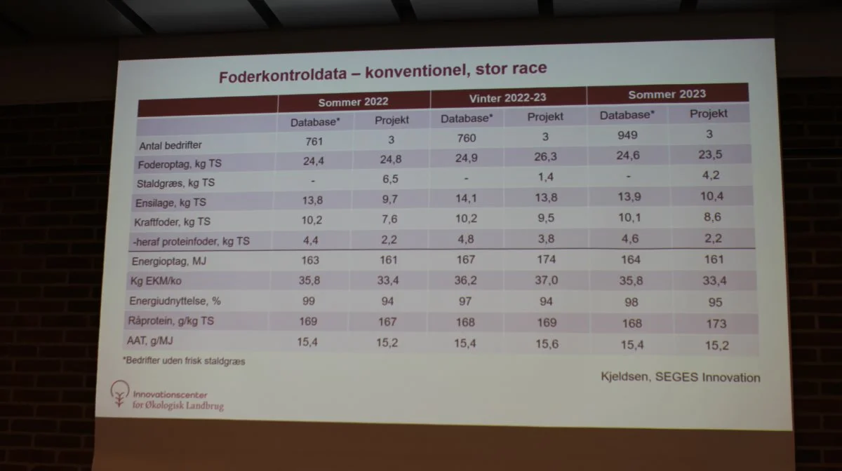 For de tre konventionelle besætninger i projektet var især et lavere kraftfoderforbrug sammenlignet med data fra Kvægdatabasen ifølge Irene Fisker værd at bemærke. Foto: Line Brusgaard