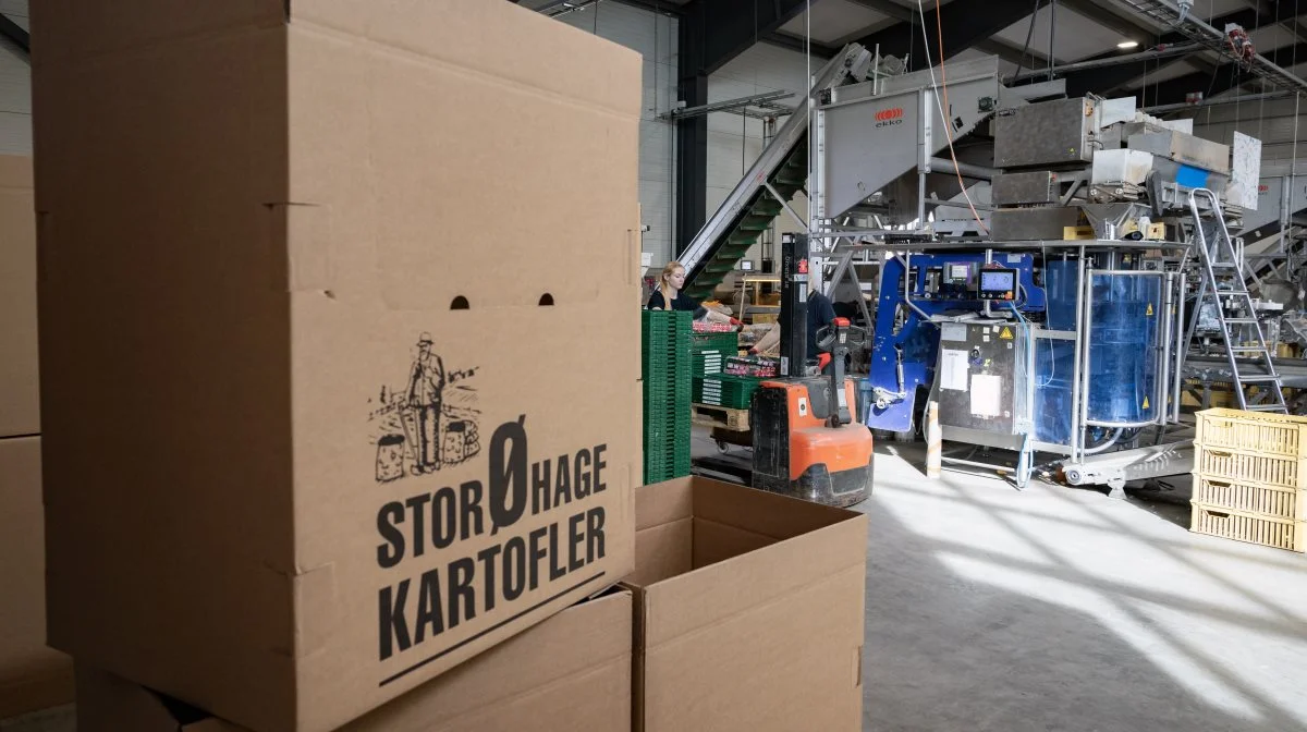 En strømlinet produktion på det nye pakkeri har styrket Storøhage Kartofler og bidraget til de seneste års vækst. Foto: Ulrik Larsen