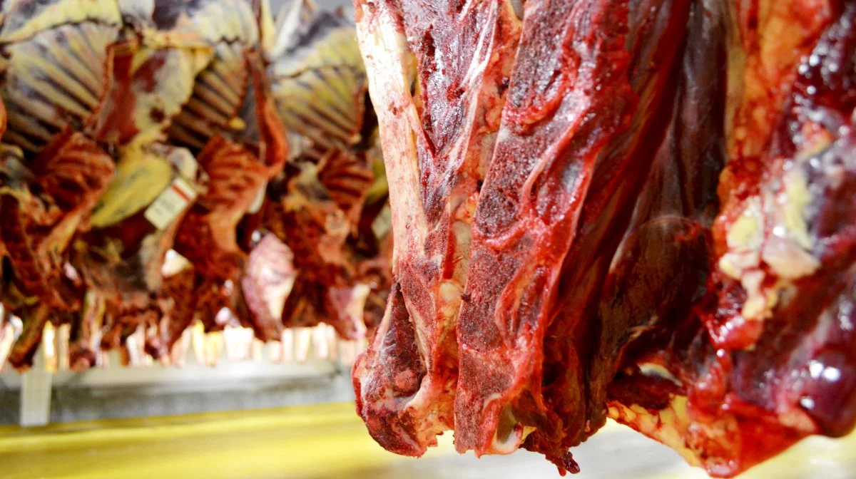 Foto: Danish Crown Beef.
