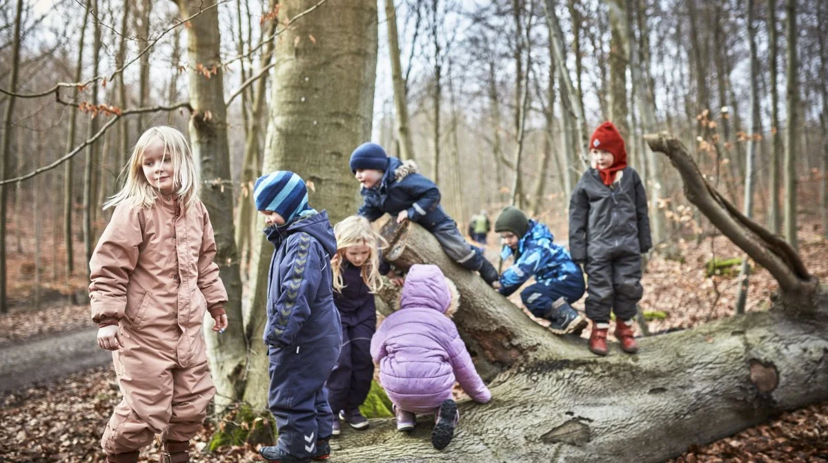 Børn fra børnehaven Jorden Rundt på besøg i Bøllemosen. Foto: Nordea-fonden 