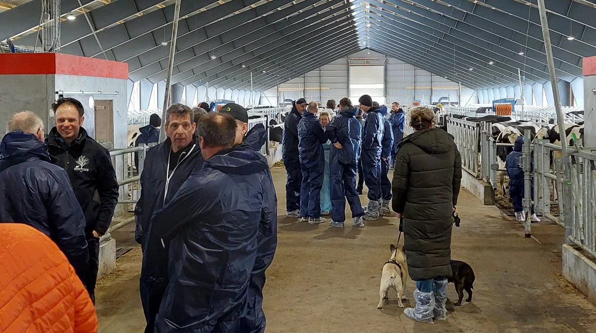 Interessen var stor for at se den nye kvægstald ved Kvong. Foto: John Ankersen