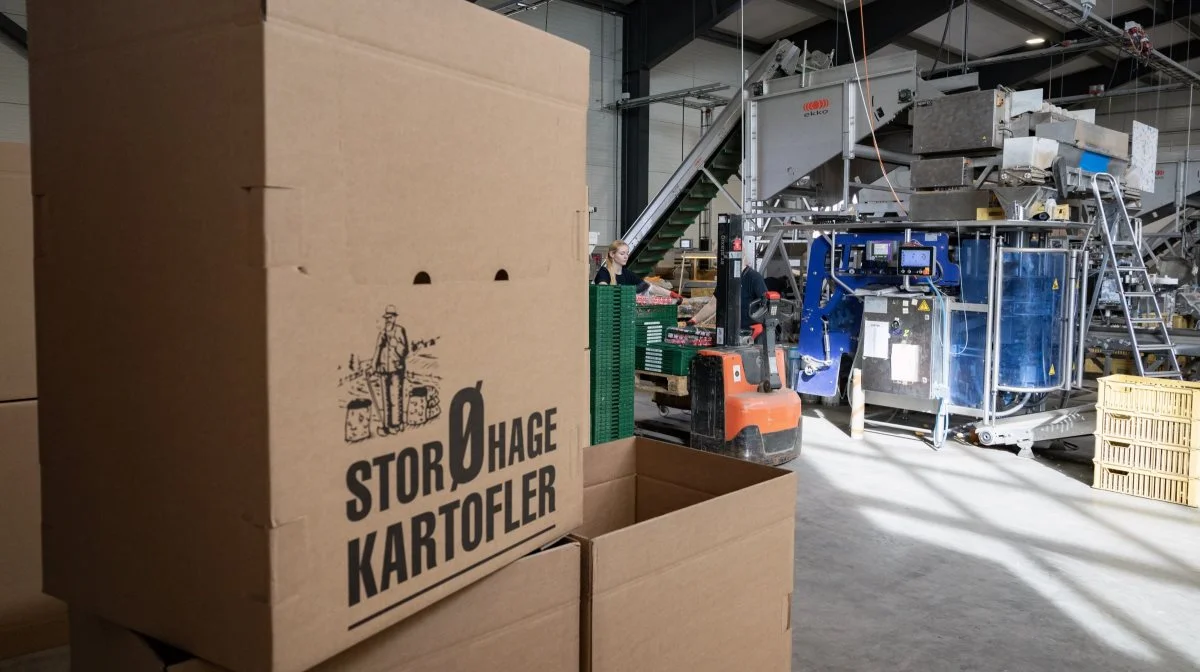 En strømlinet produktion på det nye pakkeri har styrket Storøhage Kartofler og bidraget til de seneste års vækst.