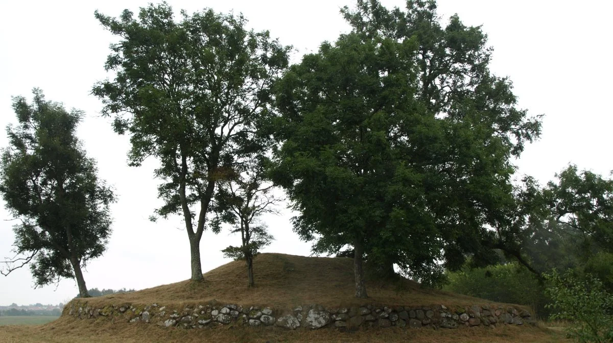 man kan blandt andet få indblik i restaureringen af Øm Jættestue til årets Fortidsmindedage. Foto: Museumsinspektør og arkæolog ved ROMU, Cille Krause.