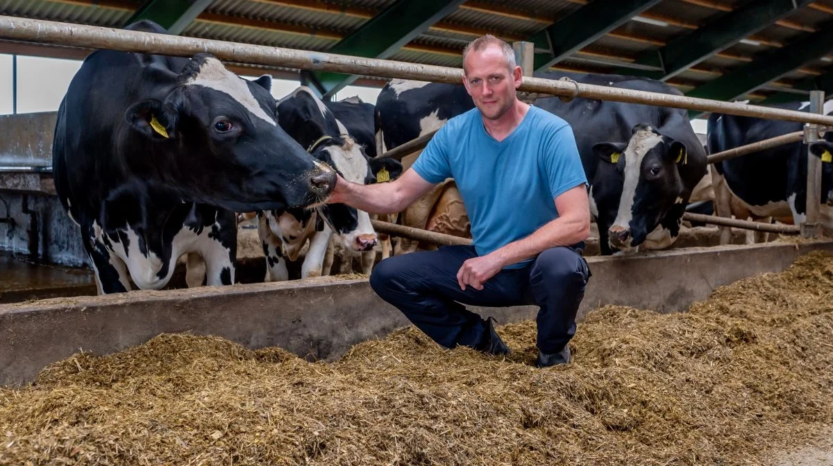 På formand for Vestjysk Jacob Spangsbergs egen bedrift med 750 årskøer ved Skjern betyder de nye krav, at han i 2026 skal finde 180 hektar mere til udbringning end i 2024. Foto: Vestjysk