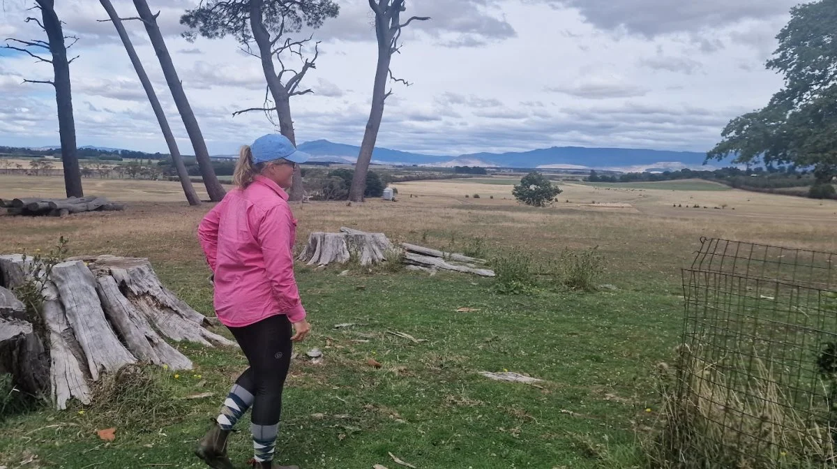 Lige uden for haven til farmen er der denne formidable udsigt over Tasmaniens landskaber med bjerge i det fjerne. - Vores gæster elsker at gå ture her, fortæller Margit Smith.