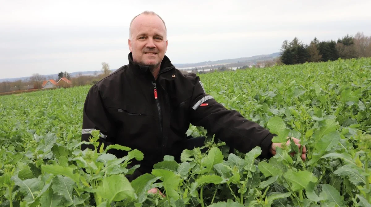 Jørn Libak byder indenfor til Åben Pløjefri Mark fredag den 17. maj i samarbejde med Agri Nord og FRDK.