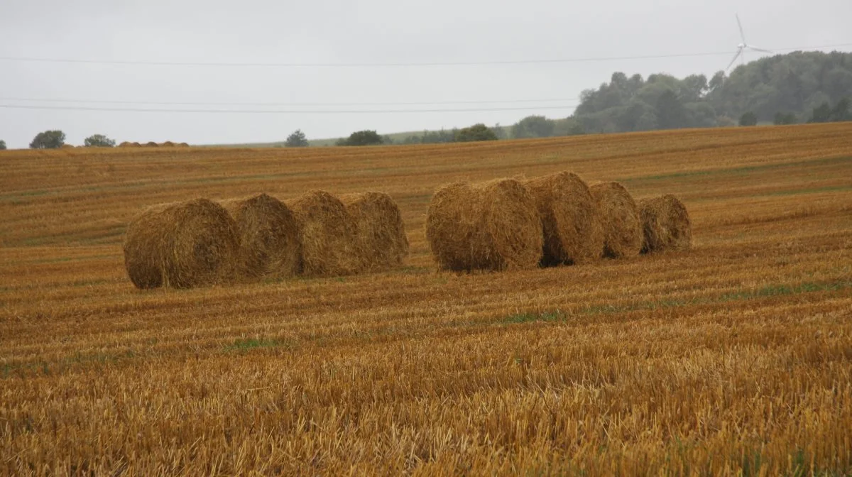 Agri Nord håber, at mange landmænd har lyst til at deltage og engagere sig i EU-debatten på halmballemødet den 15. maj. Arkivfoto: Tenna Bang