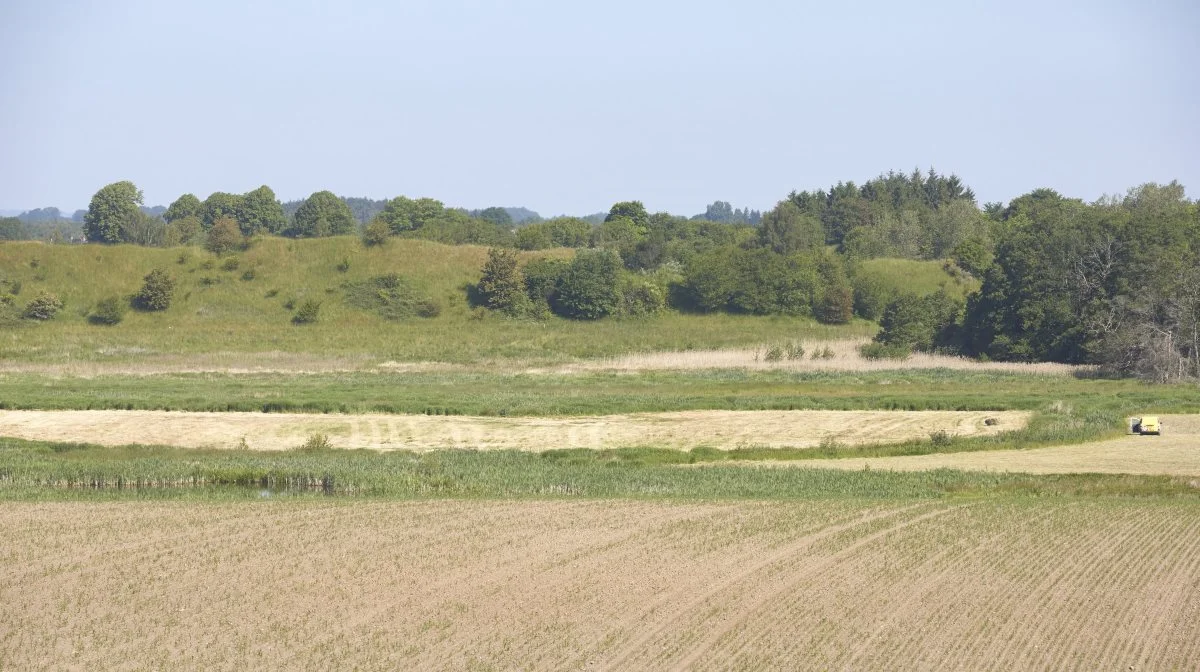 Alle landbrugsarealer kan som udgangspunkt udtages. Arealerne skal tilbydes at indgå i et lavbunds- eller vådområdeprojekt, hvis et sådant projekt skulle opstå omkring arealet på et senere tidspunkt. Arkivfoto