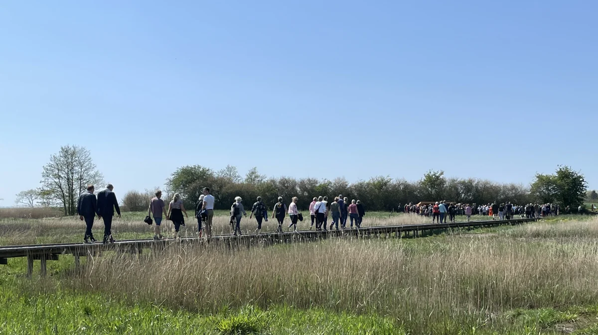 Der er etableret en lang boardwalk over det mest våde område, så interesserede har mulighed for at gå i området. På indvielsesdagen blev den flittigt benyttet af de mange deltagere.