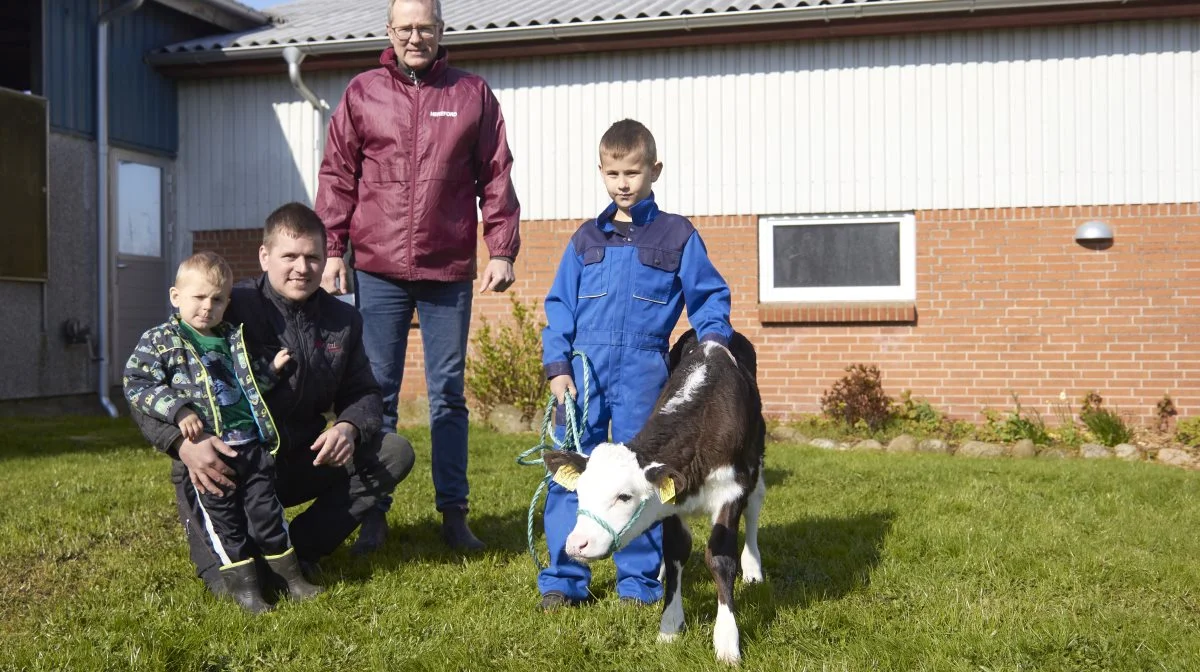 Formanden for Herefordforeningen Per W. Kristensen er på besøg ved mælkeproducent Rasmus Nielsen i Himmerland. En af krydsningskalvene skal foreviges sammen med to af sønnerne, Jeppe (th.) og Laurits. 