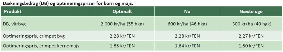 Tabellen viser dækningsbidrag og optimeringspriser baseret på en pris for vårbyg på 147 kroner pr. hkg og en halmpris på 50 øre pr. kg på roden. Alt er eksklusiv grundbetaling. Beregningen er foretaget 3. maj, og "næste uge" er altså indeværende uge. Kilde: Vestjysk