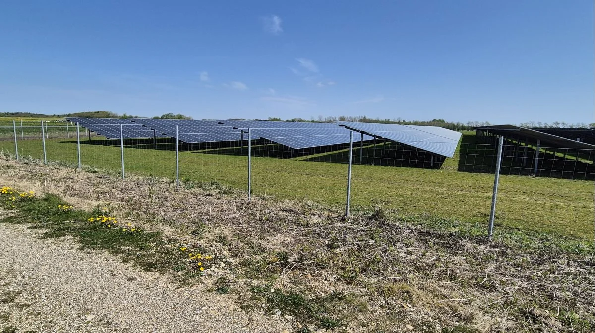 Flere steder i kommunen, der er Danmarks største, er der i dag stillet solceller op. Men i fremtiden kommer der endnu flere. Parken her ligger udenfor Skjern. Foto: Henning K. Andersen