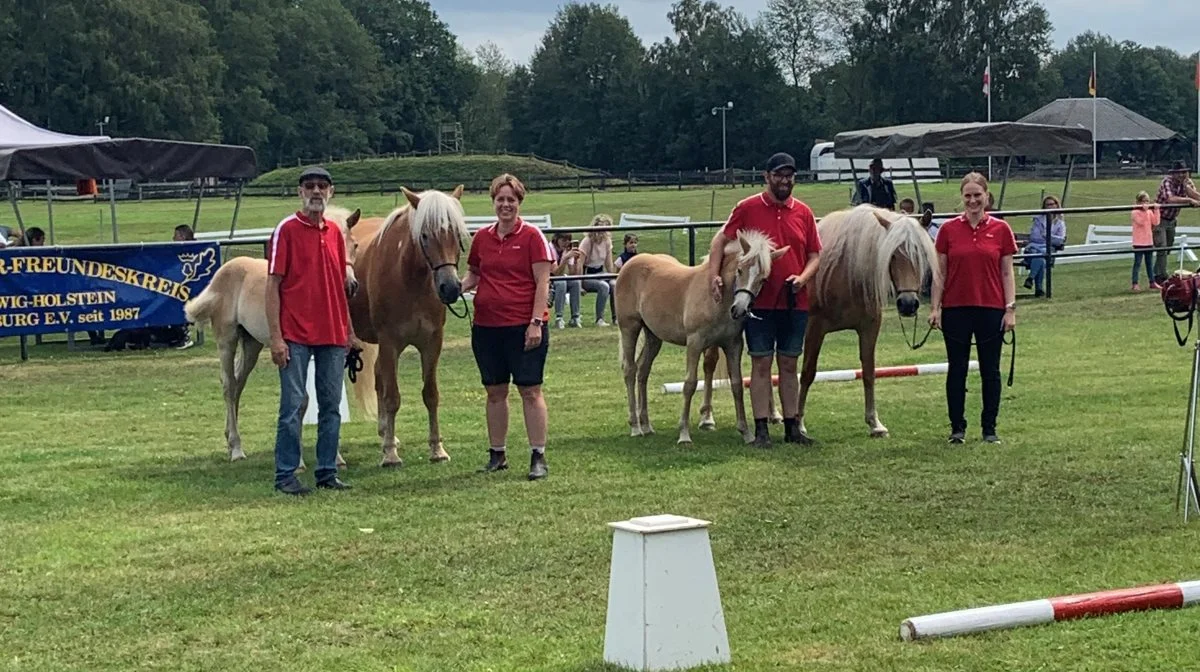 Haflinger-hestene er i den grad fællesinteresse hos familien Nissen, der er blandt hesteudstillerne i forbindelse med Det Sønderjyske Fællesdyrskue. Privatfoto