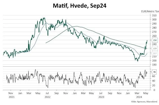 Figur 1: Lukkeprisen for hvede på MATIF-børsen d. 10.05.2024. Stor styrke i opadgående retning.

Citat fra tekst: - De to trusler for den russiske hvede har skabt panik blandt køberne, der nu spekulerer i mulig knaphed på hvede for kommende sæson

