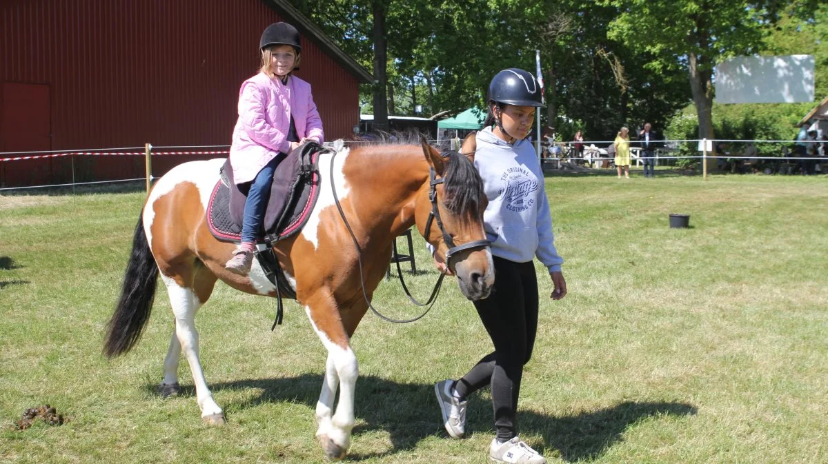 Ponyridning hos 4H er et sikkert hit. Foto: Jesper Hallgren