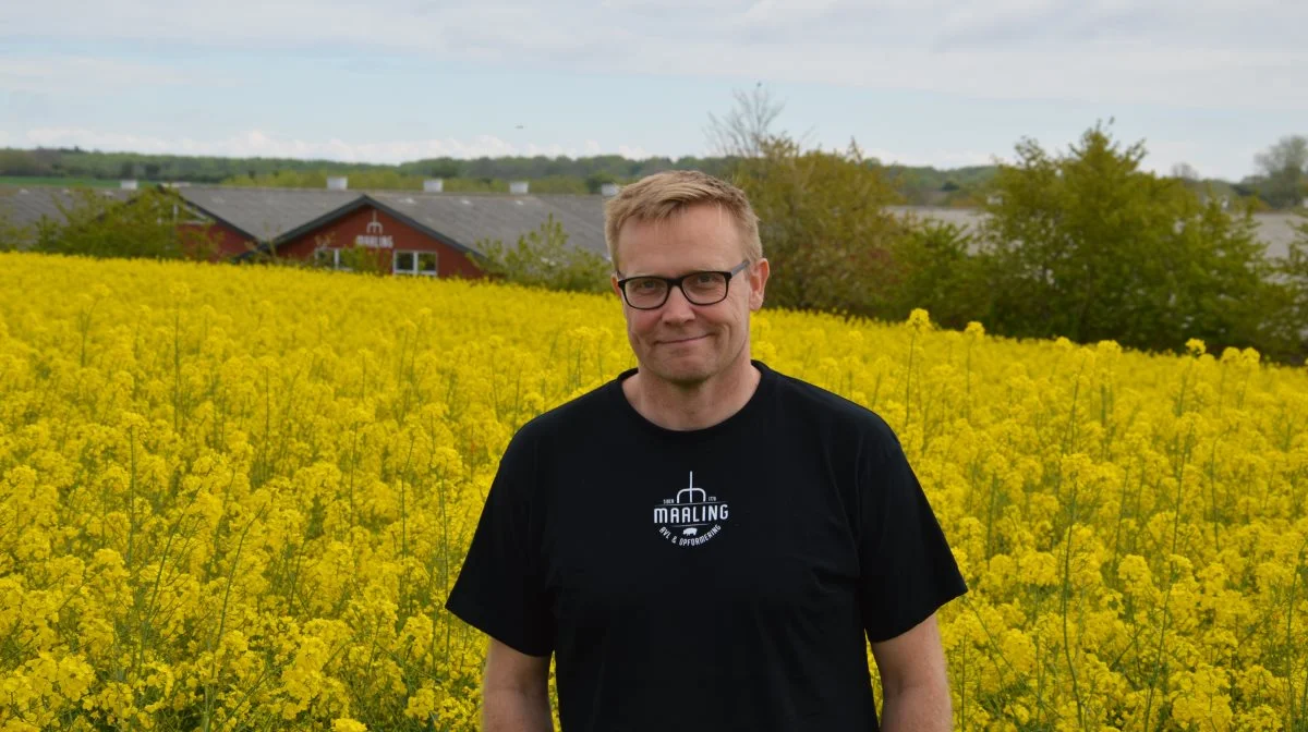 Det går godt hos Maaling Avl & Opformering. Aktuelt har de også førertrøjen, når det gælder rangeringslisten for avlere af Landrace. 