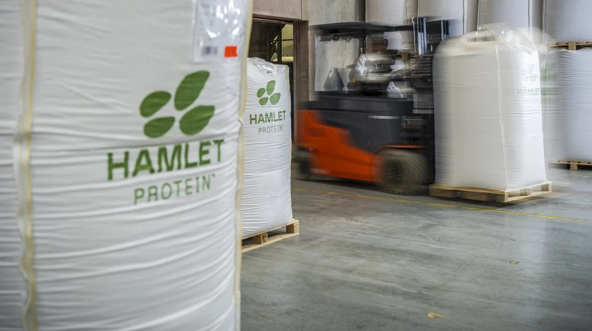 Fotos: Hamlet protein