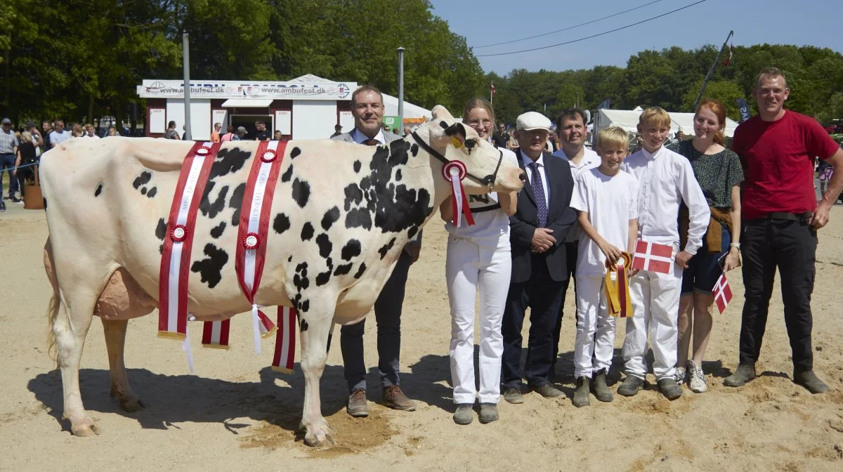 Sidste års bedste ældre Holstein-ko og Miss Hobro fra familien Nørgaard, Fårup. Arkivfoto: Tenna Bang