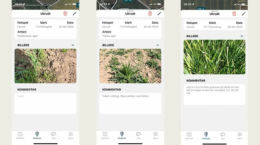 Eksempler på hotspot-noteringer om henholdsvis fund af agerpadderok, tidsler og ukendt græsukrudt. Kilde: Seges