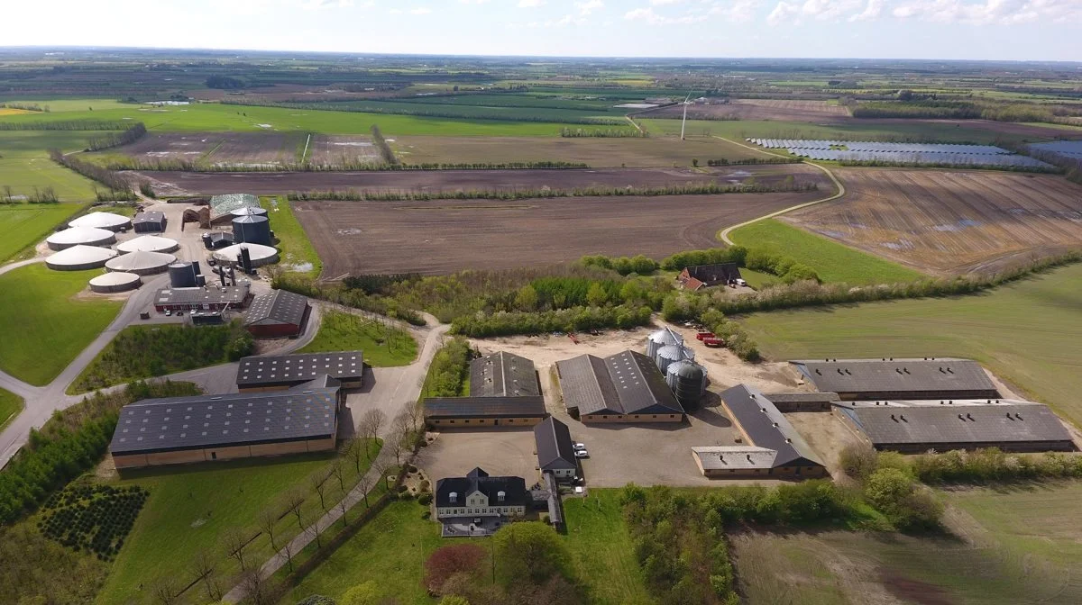Taagholm består af ejendommene Taagholm, Hovstedgaard, Vestergaard og Bygholm. Hertil er Biogas Taagholm P/S. Taagholm drives af Birgit og Michael Sangild, Morten Sangild samt Jesper Lodahl. Morten og Jesper ejer dertil MJ Taagholm ApS, der driver 660 hektar planteavl og producerer cirka 20.000 slagtegrise.