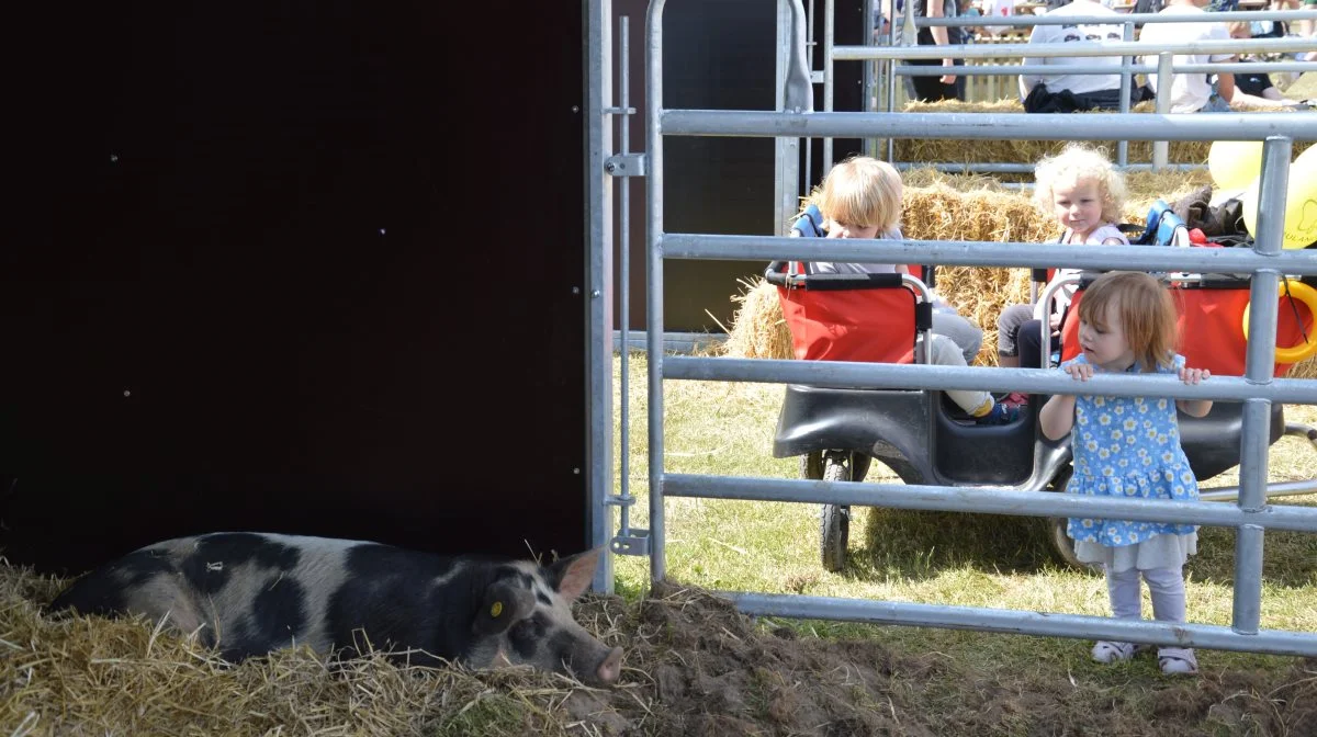 Minibondegården er det perfekte sted at kigge forbi, hvis du vil se nærmere på landbrugets dyr. Arkivfotos: Camilla Bønløkke
