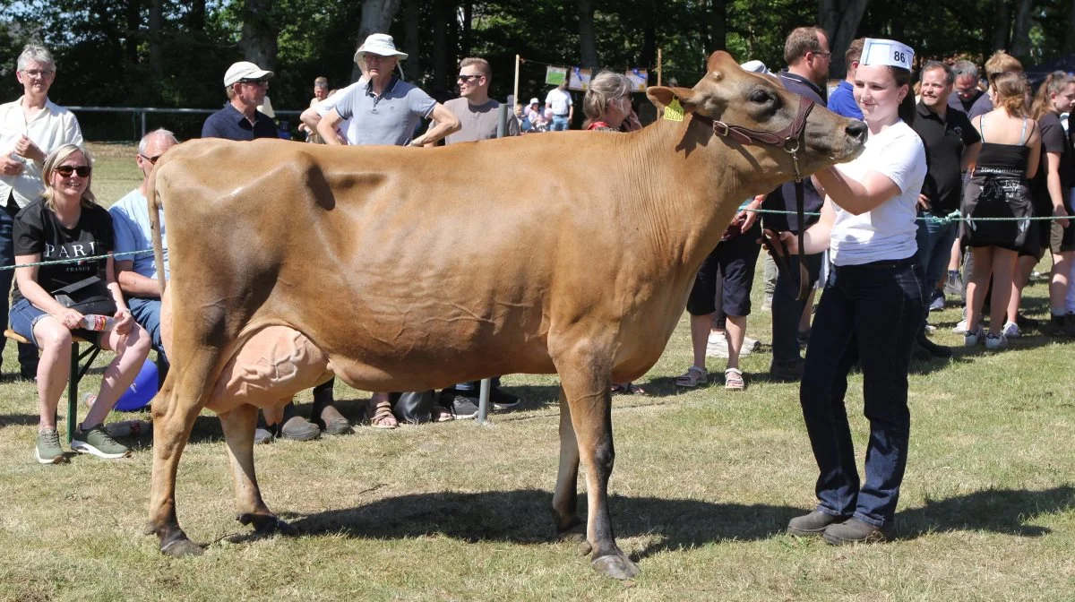 Bedste Jersey: 64510-03286 VJ Hilux-datter fra Christoffer Østergaard Sunesen, Aars