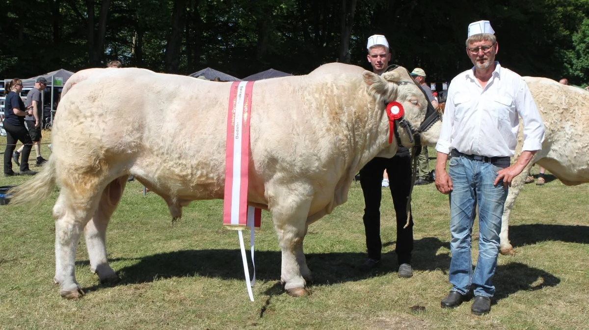 Bedste handyr: Charolais, Stratego Hansesgaard fra Jan Larsen, Øster Assels