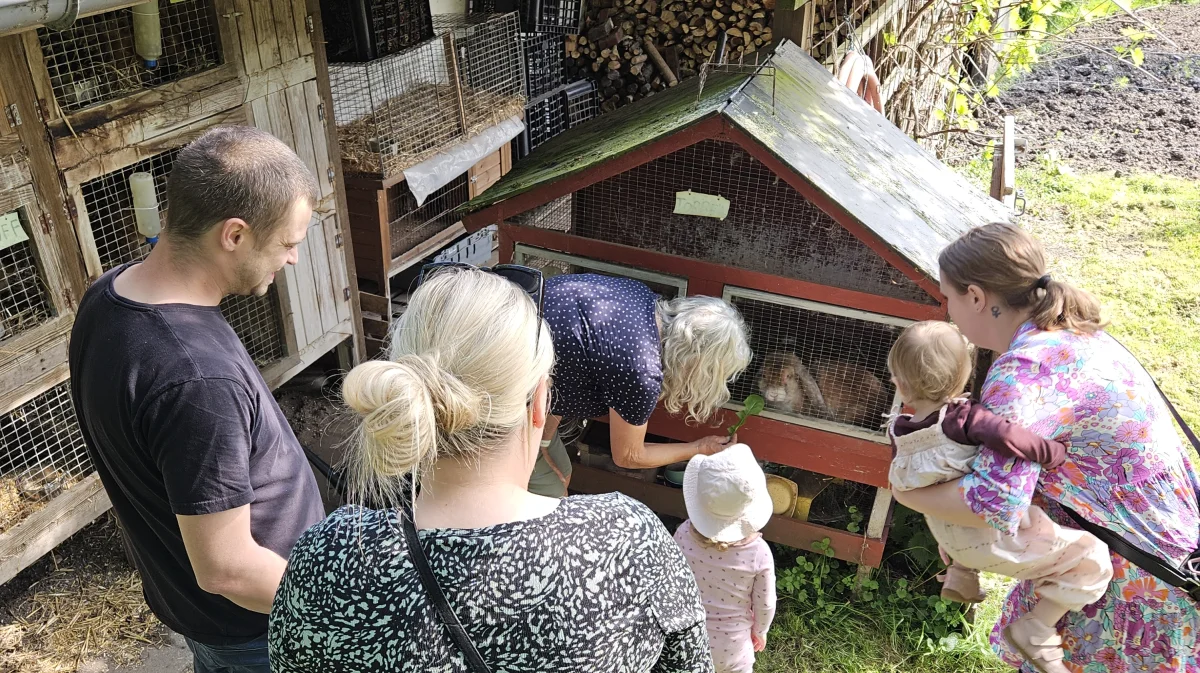 Der var også tid og mulighed for at beundre familien Kimer-Jørgensens kaniner.