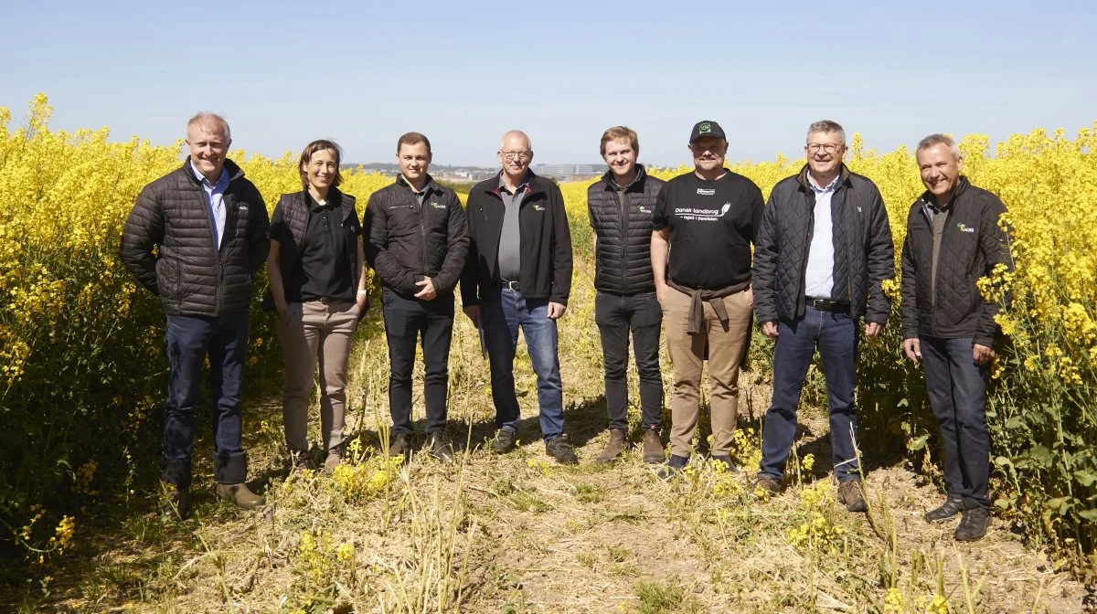 Endnu engang er Agri Nord, Mollerup Mølle, og som noget nyt, DLG klar til at byde velkommen til Agri Farm Day.
Her ses fra venstre Flemming Floor Jensen, Agri Nord, Betina Tykgaard Arvidsom, DLG, Andreas Nymark Thaysen, Agri Nord, Kurt Christensen, Agri Nord, Jakob Hundahl Poulsen, Agri Nord, Morten Jessen, Mollerup Mølle, Henning Jakobsen, DLG og Poul Madsen, Agri Nord. Fotos: Tenna Bang