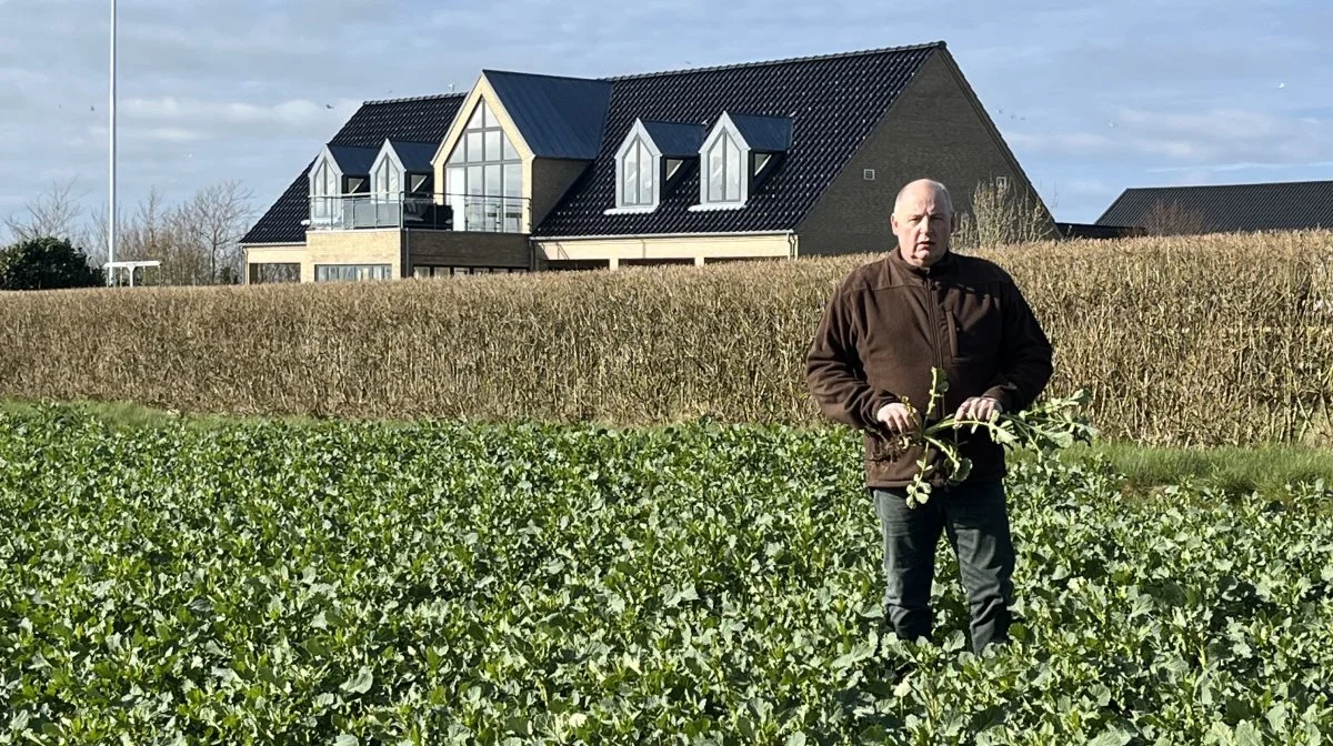- Det er nemmere for en ung at komme med på sidelinjen sammen med mig end at skulle ud og lægge en kæmpe kapital for et sted, siger landmand Klaus Knudsen. Privatfoto