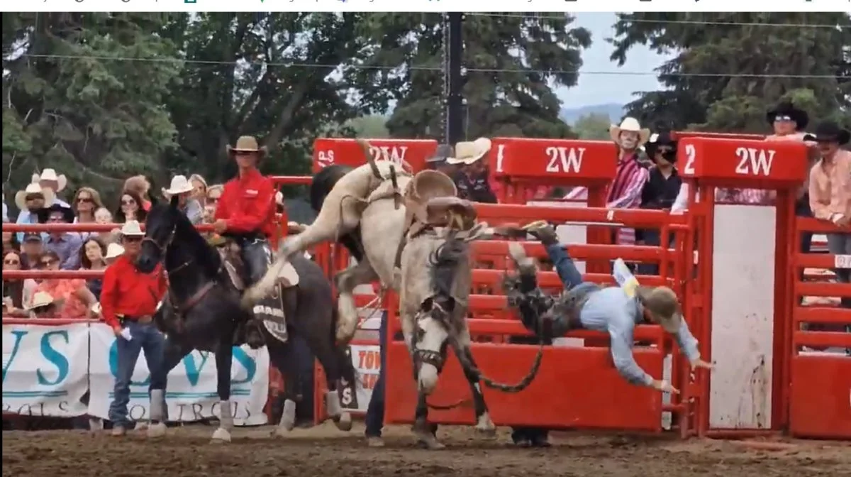 Alle byer har deres eget rodeoshow - det er en vigtig tradition for amerikanske landmænd.