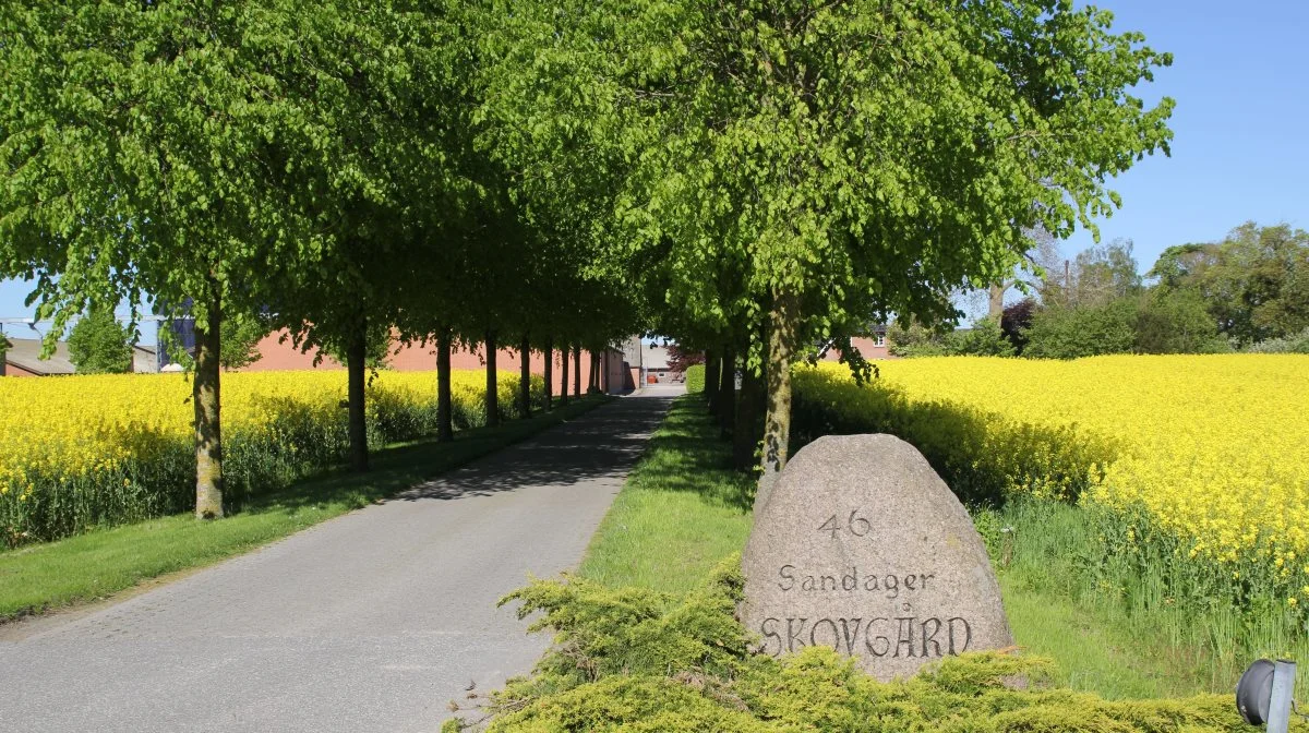 På Sandager Skovgaard, der ejes af Poul Martin Egdal, kom ideen om at ansætte en controller ved et af de kvartalsvise gårdrådsmøder.