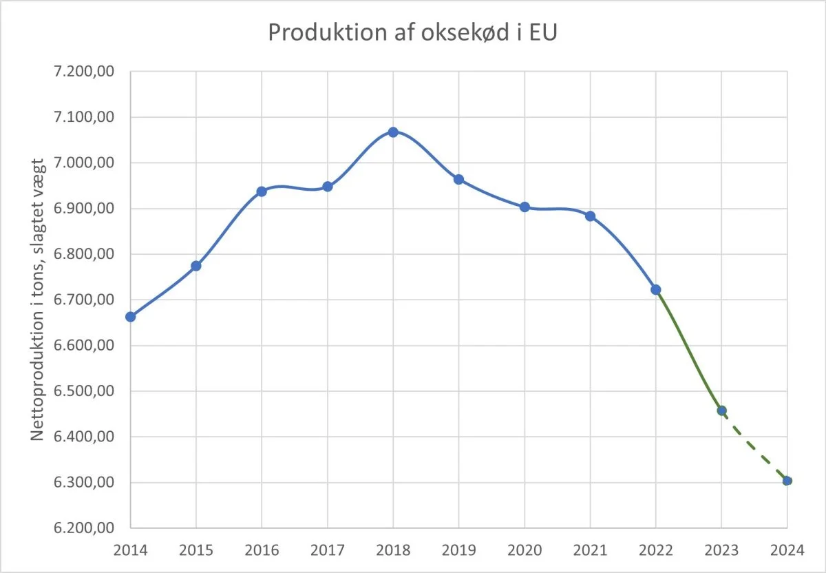 Udvikling i oksekødsproduktionen i EU. Den stiplede linje indikerer at der er tale om en prognose. Kilde: Agridata 