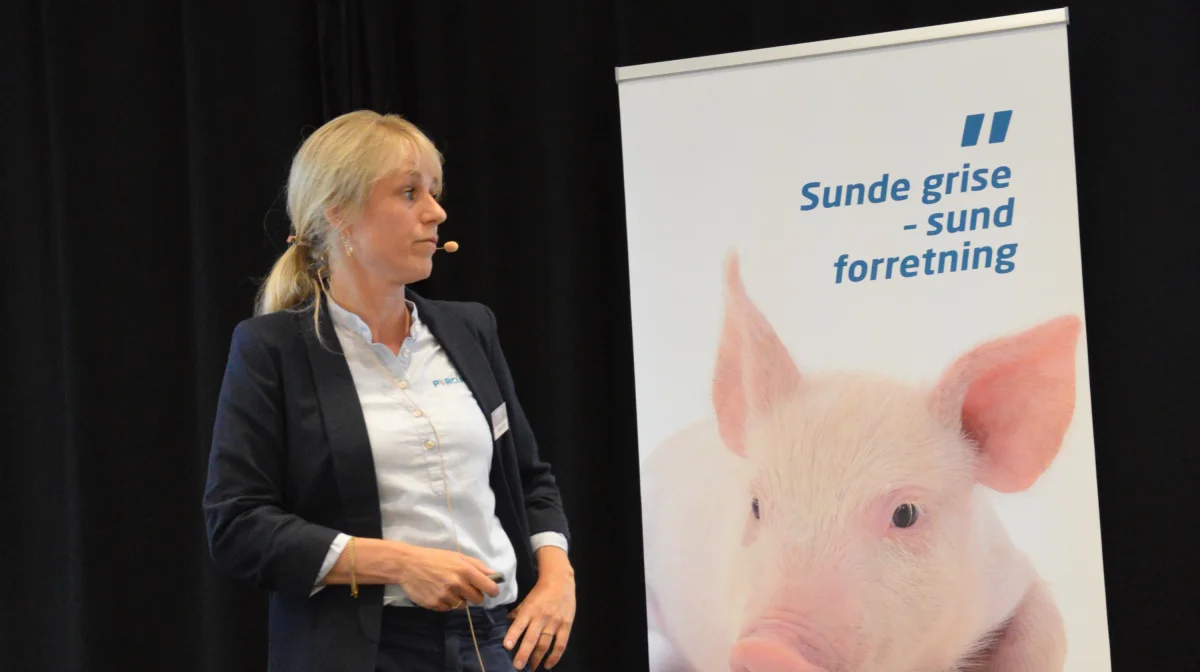 Dyrlæge Anne Priebe gik på podiet og fortalte om den situation, hvor en slagtesvinestald blev smittet med ondartet lungesyge via en biogaslastbil.