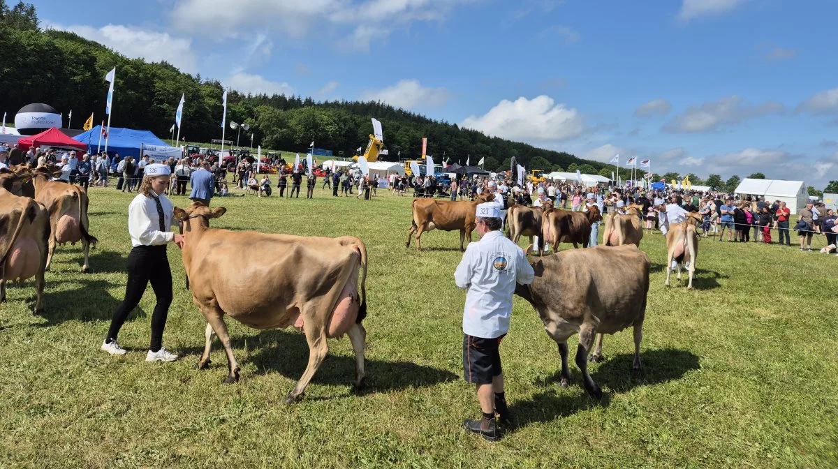 Alt spillede, da Landbrugsmessen Gl. Estrup bød på to dages feststemning i perfekt dyrskuevejr. Foto: Tenna Bang