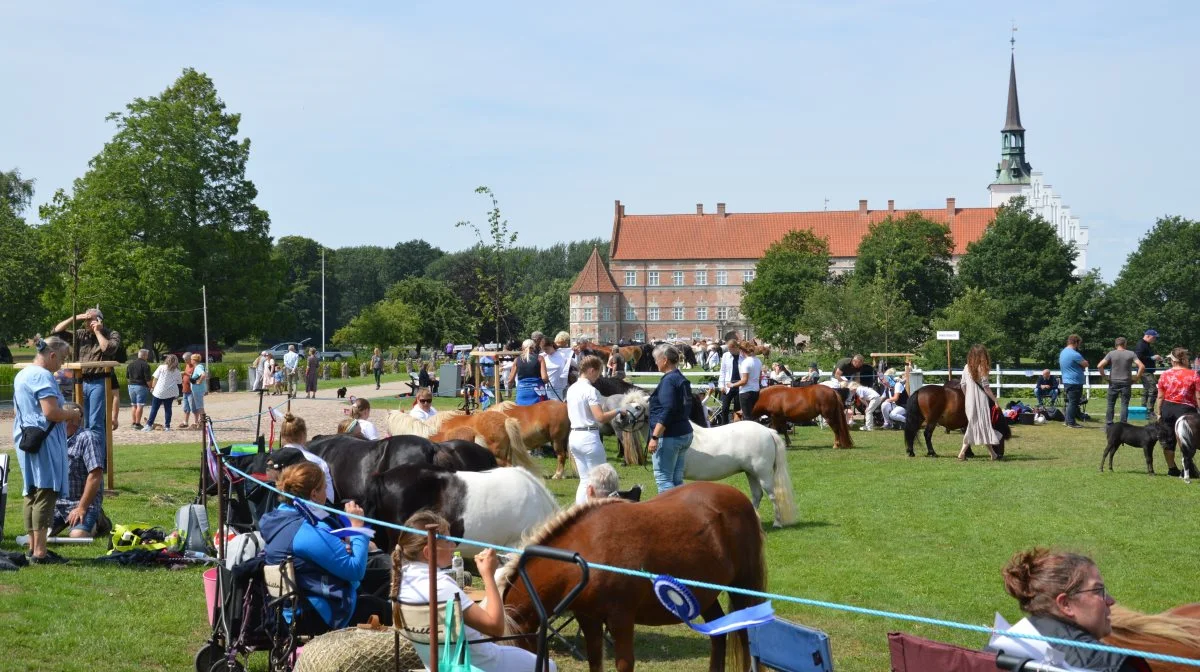 Lørdag den 20. juli er der igen hesteskue på Brahetrolleborg. Arkivfotos: Camilla Bønløkke