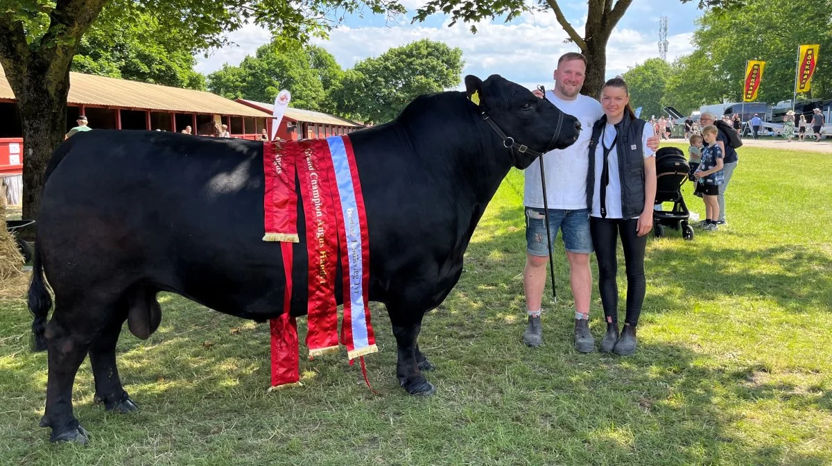Philip Kvistgaard Simonsen og Simone Rosenkrantz med den store angus-tyr, der i interbreed-konkurrencen opnåede titlen som bedste handyr. Foto: Jesper Hallgren
