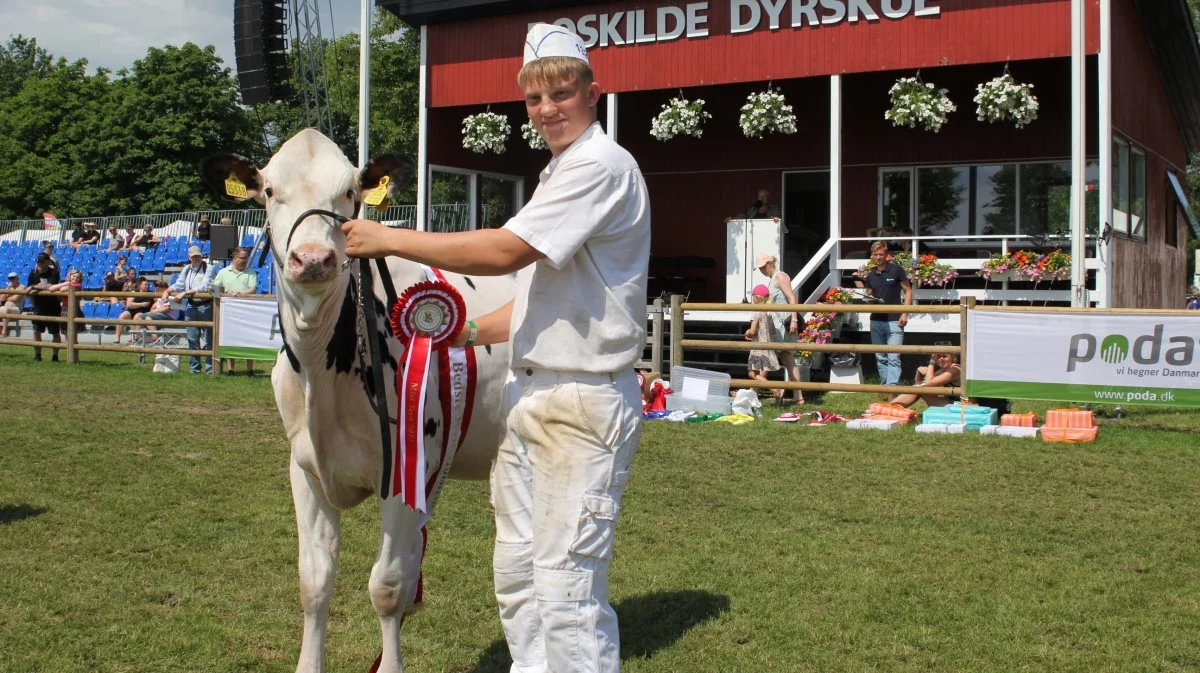 Andreas Andersen med skuets flotteste kvie. Foto: Jesper Hallgren