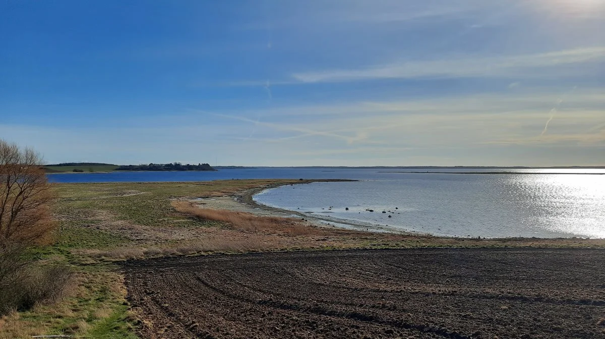 Fremover vil det ikke kun være på dette areal ved Roskilde Fjord, at der ikke vil være nogen højspændingsledninger. De nye ledninger i projektet Forskønnelse af Roskilde Fjord skal nemlig graves i jorden. Arkivfoto: VKST