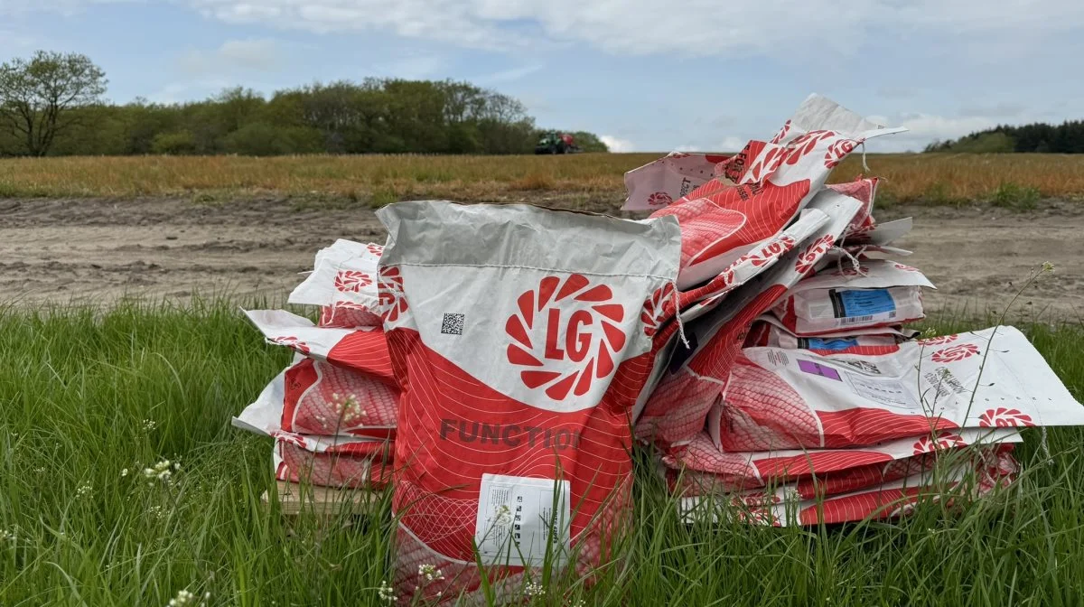 Limagrain har stillet en række sorter til rådighed i marken, og på nuværende tidspunkt viser sorter som Trooper, Conclusion og Saxon sig som sorter, der kommer hurtigst fra land i et no-till-system. 