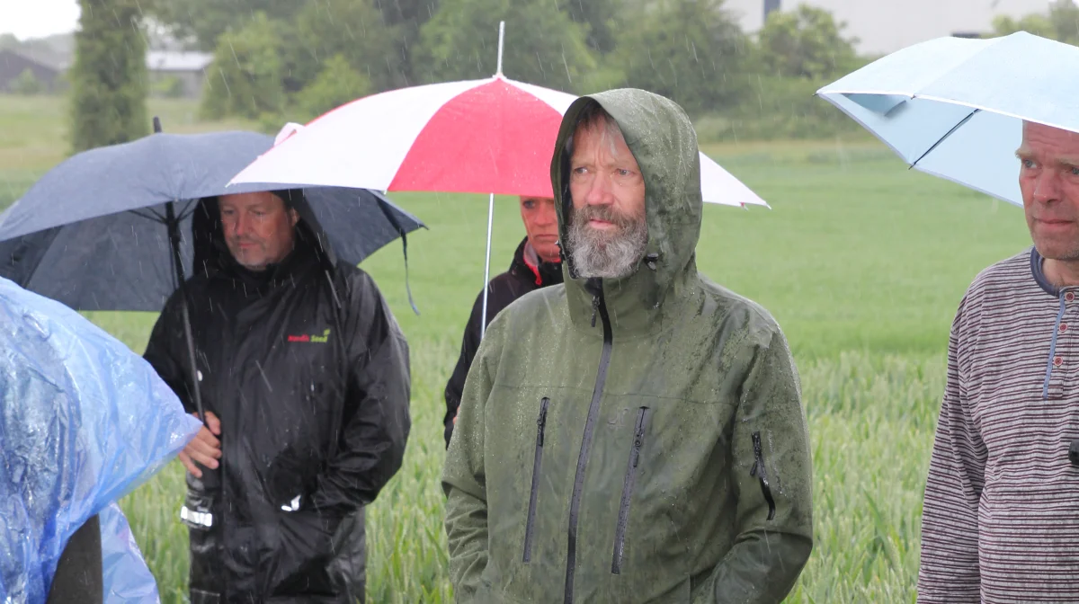 Der blev lyttet - trods silende regn fra arrangementets begyndelse.