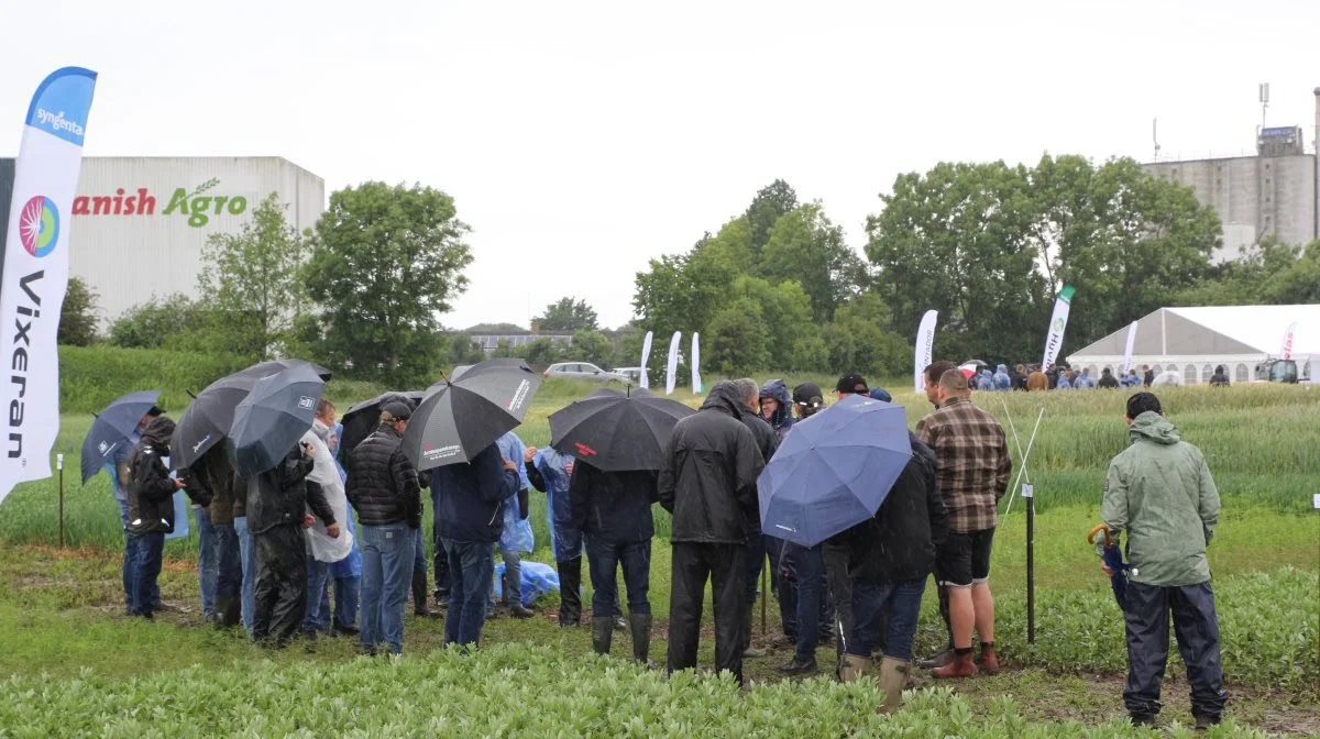 Til trods for silende regn fra start til slut af eftermiddags sessionen ved MarkTræf i Nr. Søby, holdt små 100 gæster stand og hørte de mange faglige indlæg. Aften sessionen bød ligeledes på regn, men heldigvis også de forventede gæster.