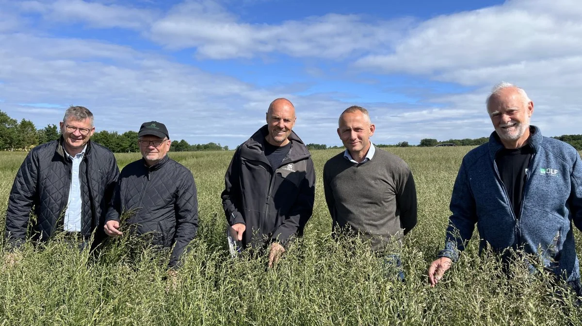 Den 19. og 20. juni inviterer DLG, DLF, Patriotisk Selskab og Agro Alliancen interesserede til at besigtige forsøgsmarkerne ved Egeskov Slot. Fra venstre Henning Jakobsen, DLG, Erik Andkær Pedersen, Patriotisk Selskab, Morten Holmgaard, Patriotisk Selskab, Bo Jensen, Agro Alliancen og Erling Christoffersen, DLF.  Fotos: Jacob Jensen, DLG